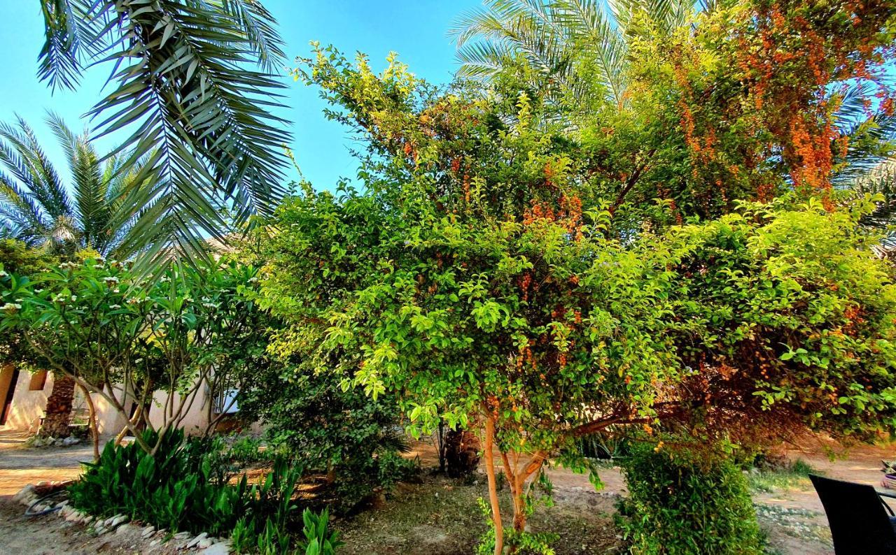 Sekhmet Retreat Centre *