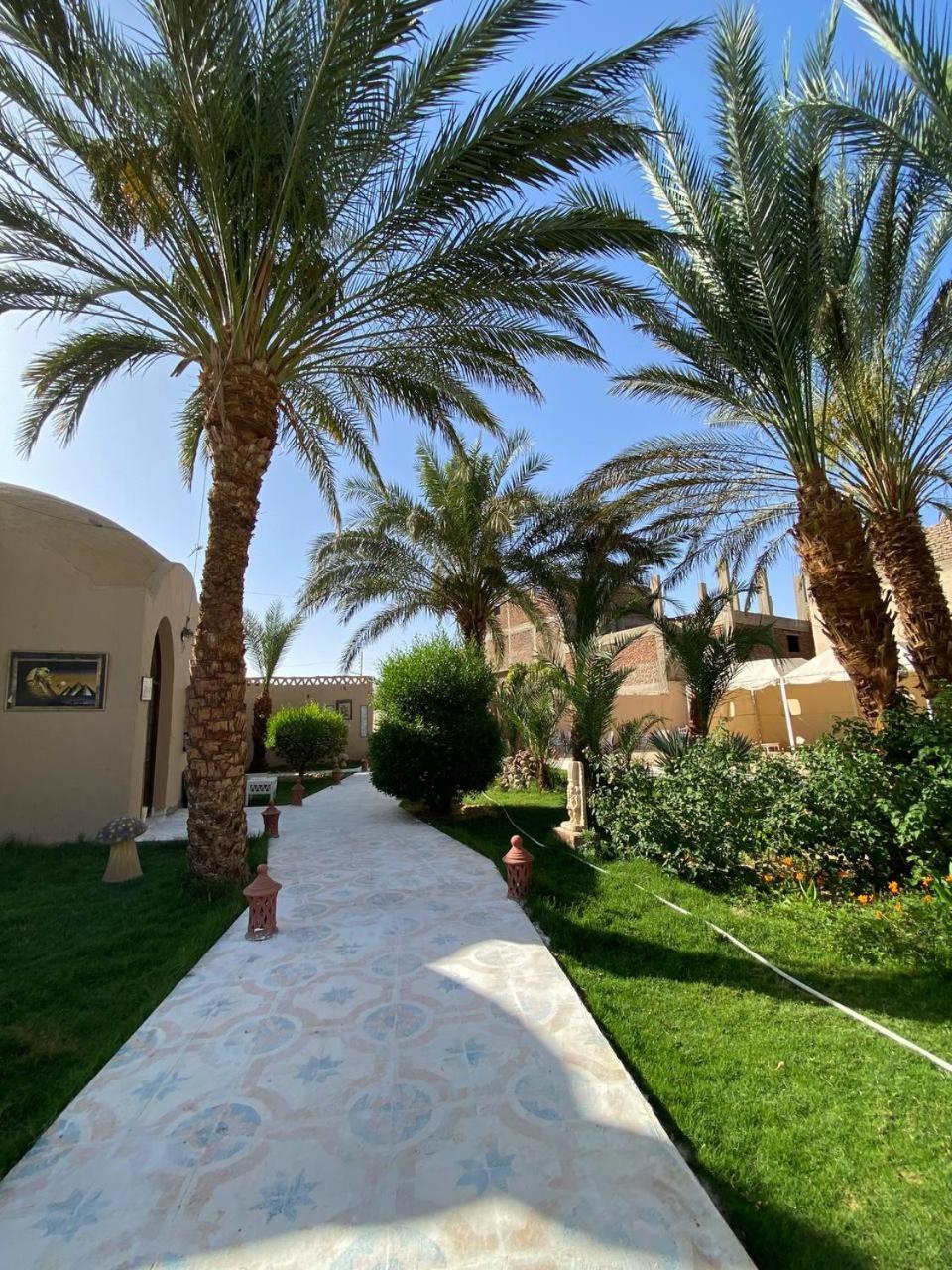 Sekhmet Retreat Centre * Louxor